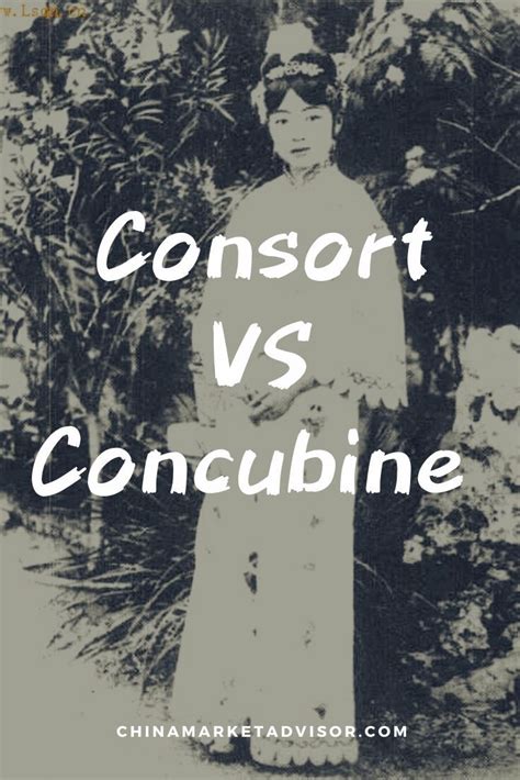 difference between consort and concubine